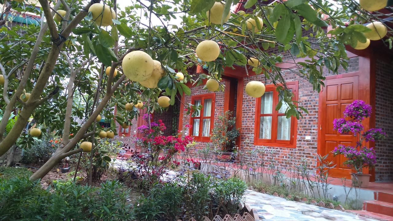 Tam Coc Thanh Dat Homestay Ninh Bình Kültér fotó
