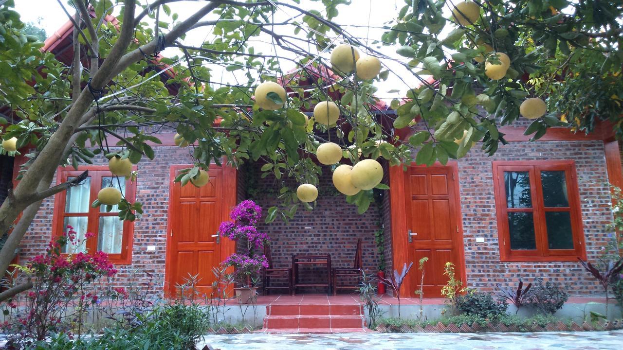 Tam Coc Thanh Dat Homestay Ninh Bình Kültér fotó