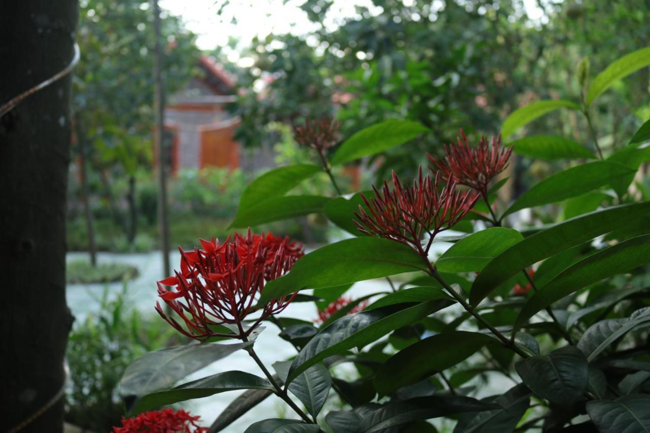 Tam Coc Thanh Dat Homestay Ninh Bình Kültér fotó