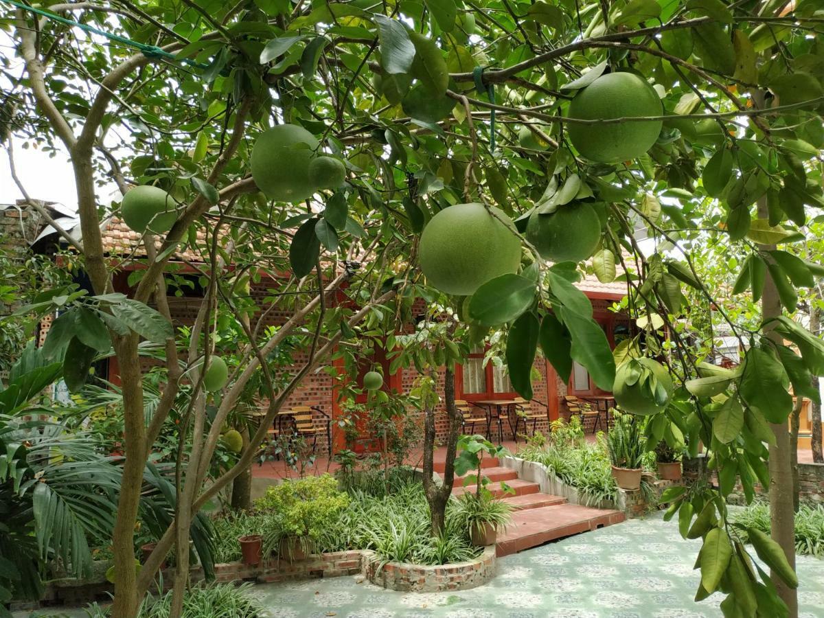 Tam Coc Thanh Dat Homestay Ninh Bình Kültér fotó